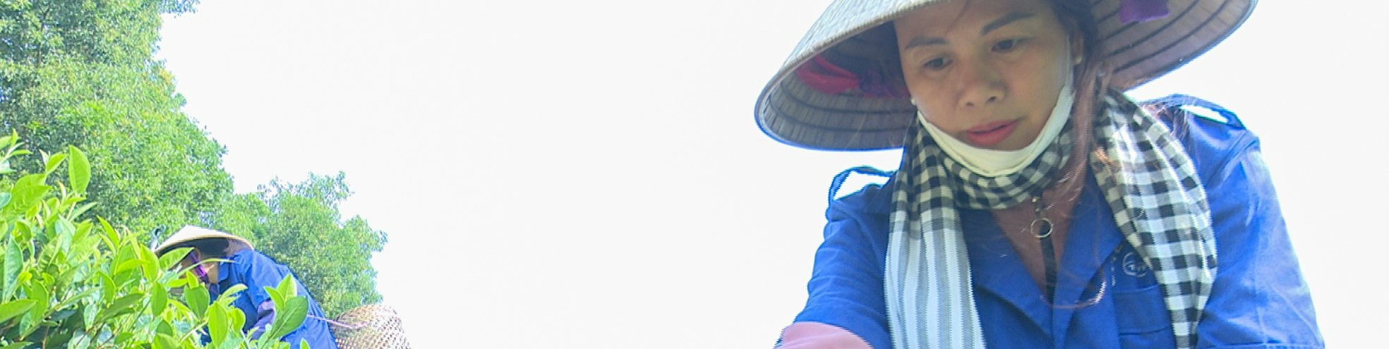 thuanan-kyoto-manpower-farm-worker-banner