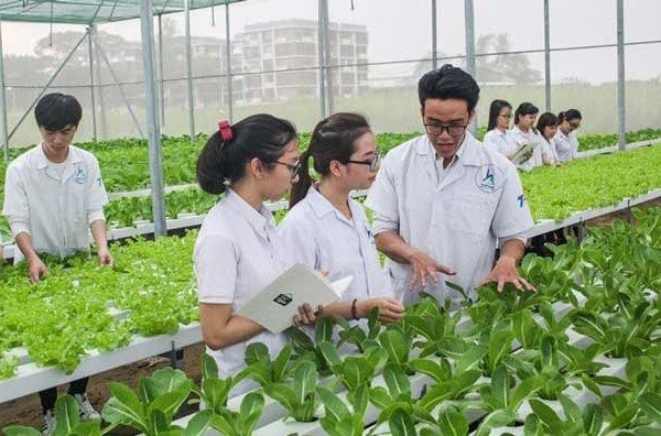 thuanan-kyoto-manpower-greenhouse-technician