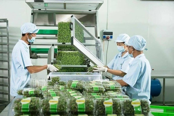 thuanan-kyoto-manpower-machine-operator