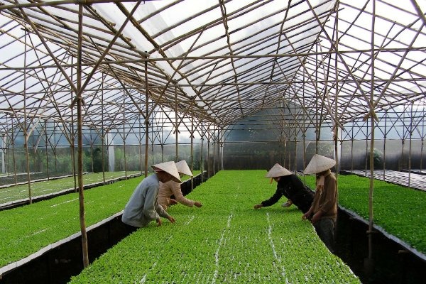 thuanan-kyoto-manpower-nursery-worker