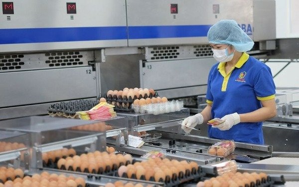 thuanan-kyoto-manpower-packaging-worker