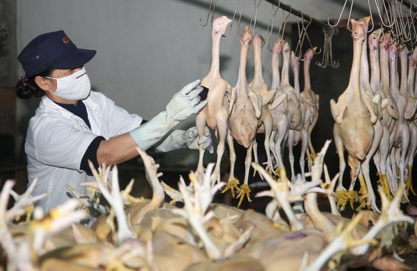 thuanan-kyoto-power-food-processing-worker
